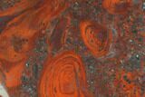Polished Stromatolite (Collenia) - Minnesota #126076-1